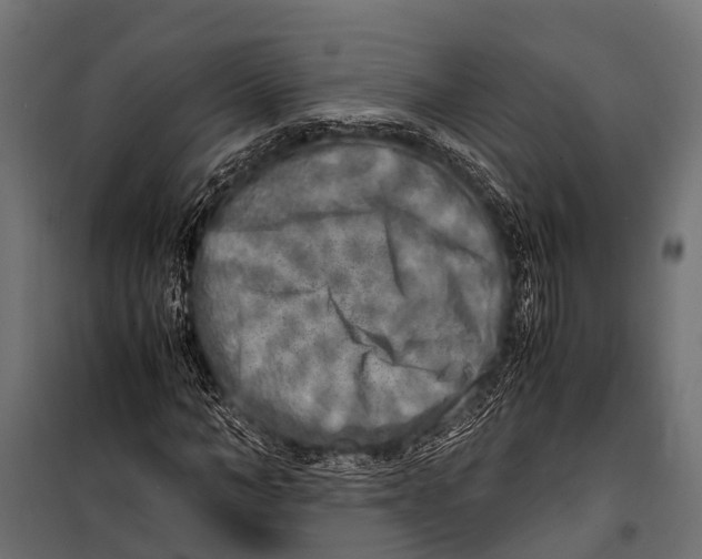 X0000099930966200806201053