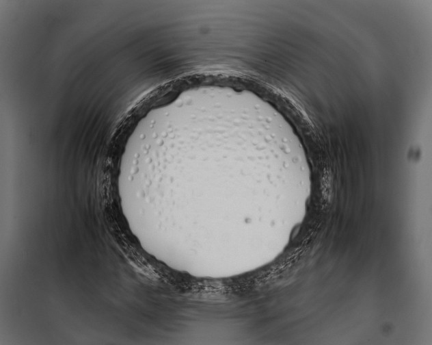 X0000099930968200806201053