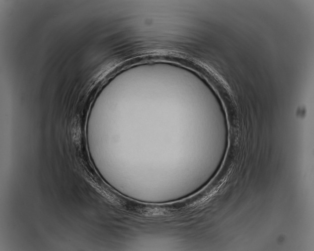 X0000099930969200806201053