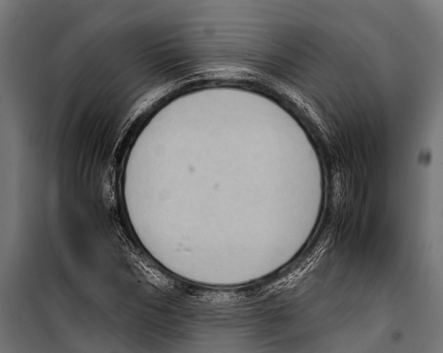 X0000099930970200806201053