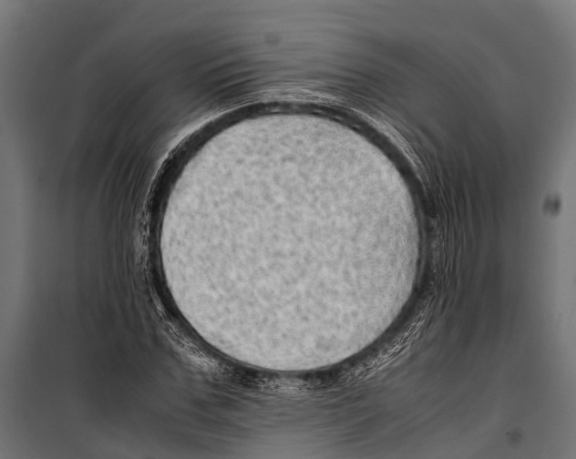 X0000099930971200806201053