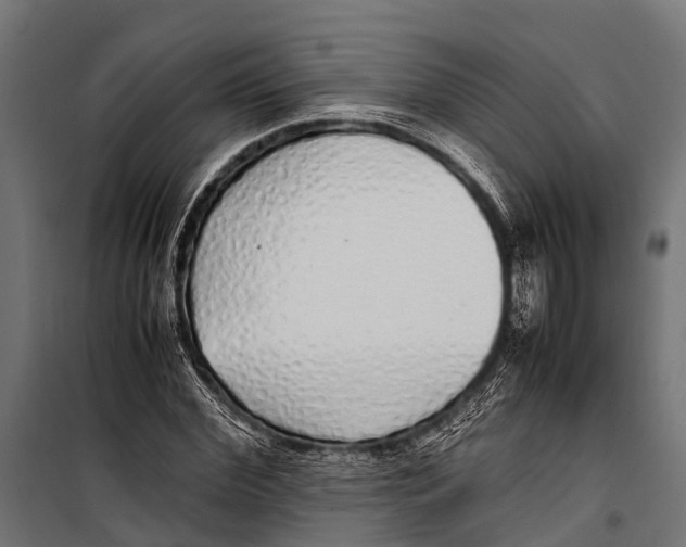 X0000099930972200806201053