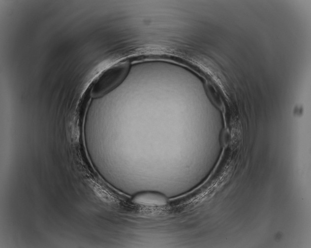 X0000099930973200806201053