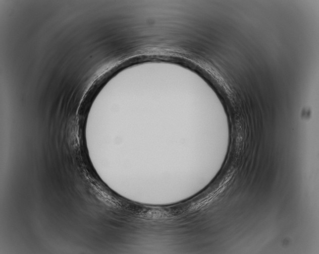 X0000099930974200806201053