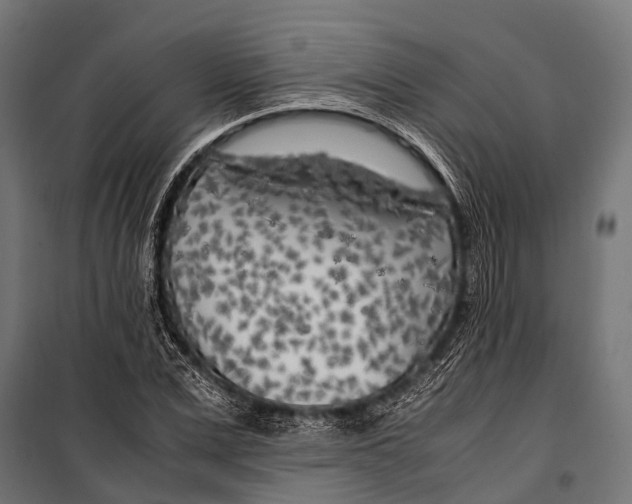 X0000099930975200806201053