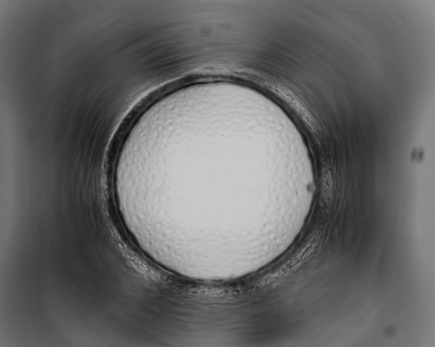 X0000099930976200806201053