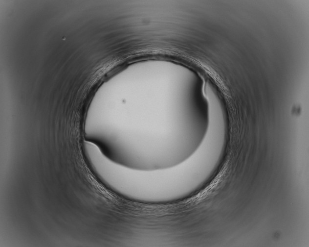 X0000099930977200806201053