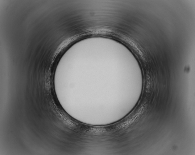 X0000099930978200806201053