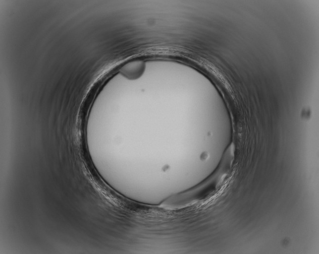 X0000099930981200806201053