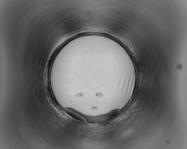 X0000099930982200806201053