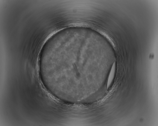 X0000099930983200806201053