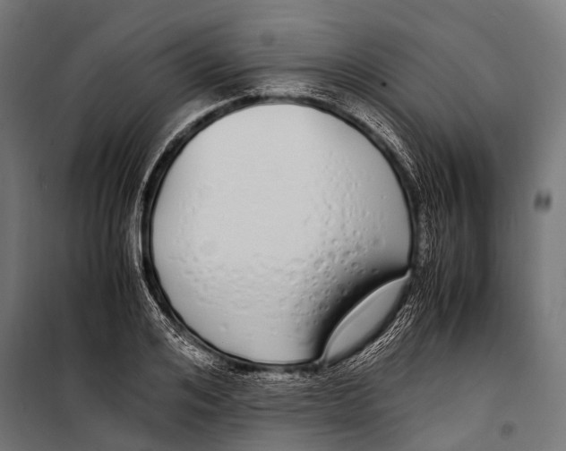 X0000099930984200806201053