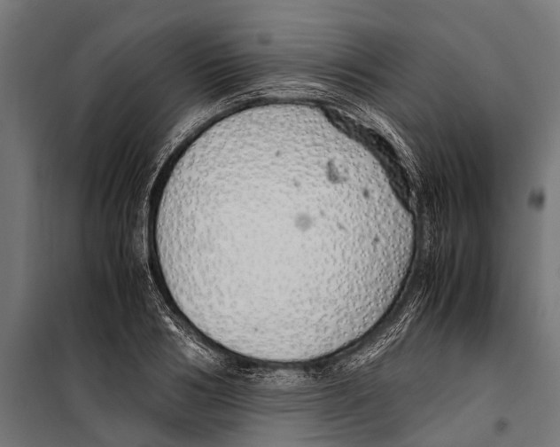 X0000099930986200806201053