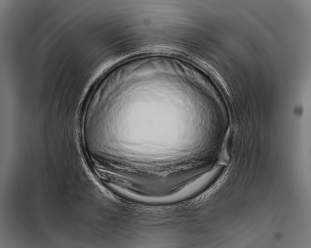 X0000099930989200806201053