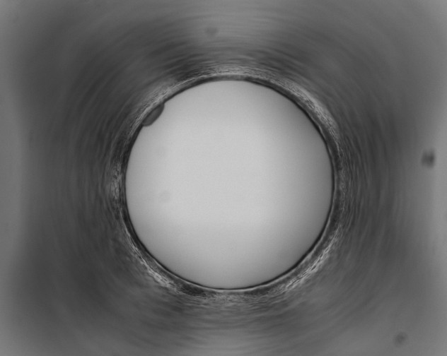 X0000099930993200806201052