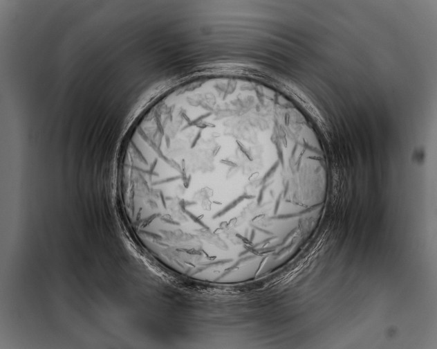 X0000099930994200806201052