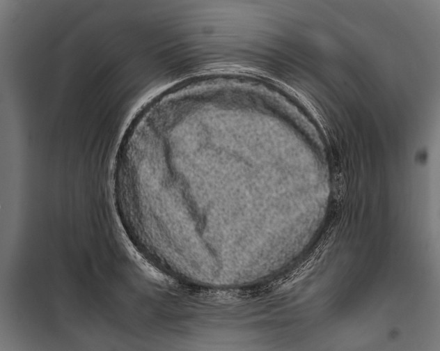 X0000099930995200806201052