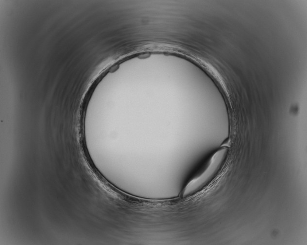 X0000099930997200806201052