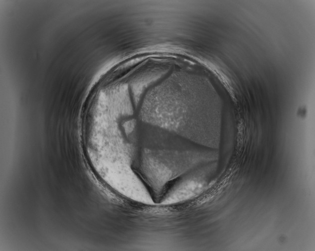 X0000099930998200806201052