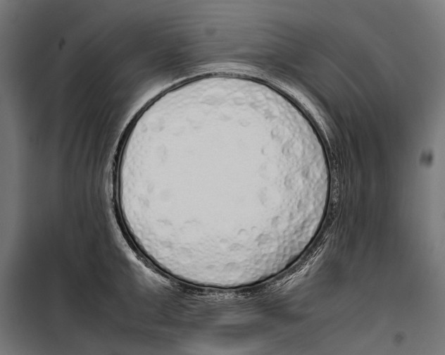 X0000099930999200806201052