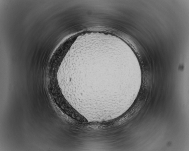 X0000099931000200806201052