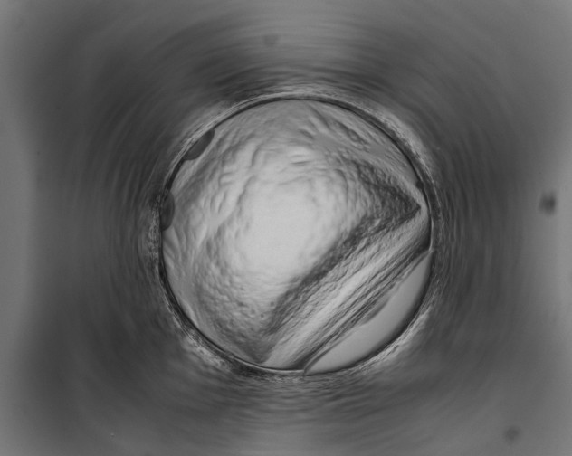 X0000099931001200806201052