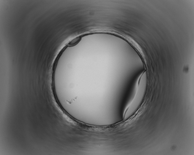 X0000099931005200806201052