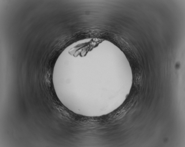 X0000099931010200806201052