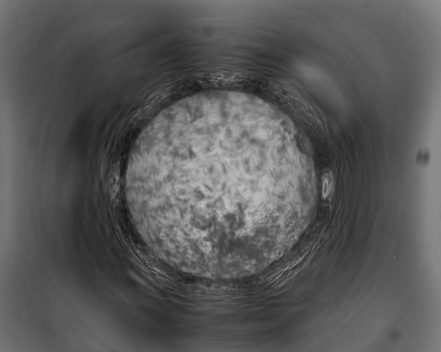 X0000099931011200806201052