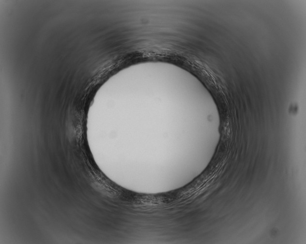 X0000099931012200806201052