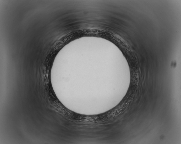 X0000099931013200806201052