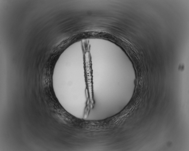 X0000099931014200806201052