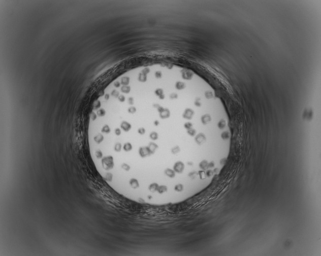 X0000099931015200806201052