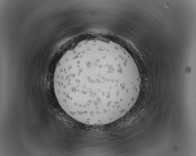 X0000099931016200806201052