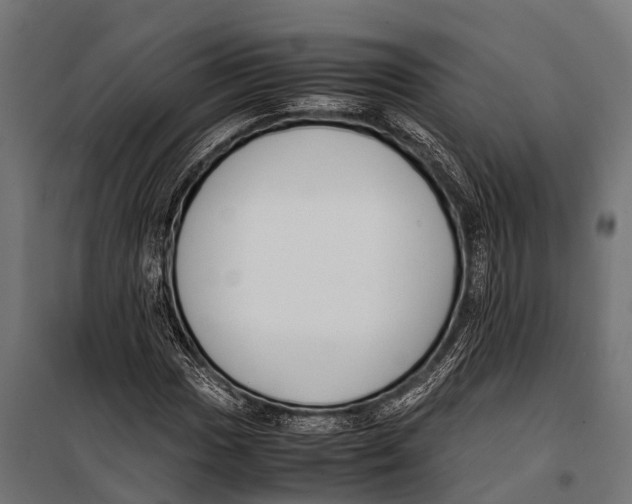 X0000099931017200806201052