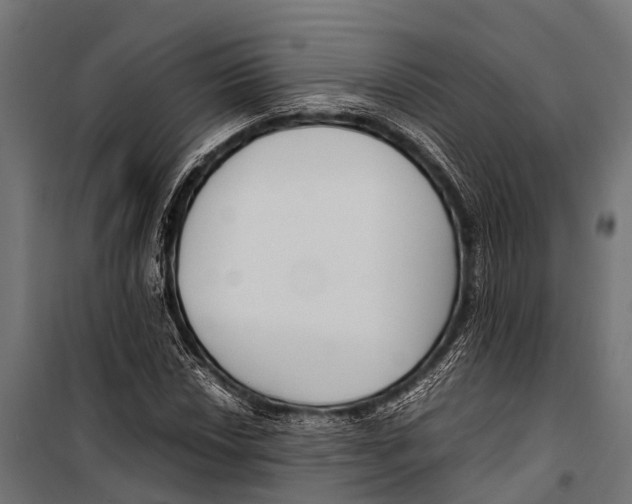 X0000099931018200806201052