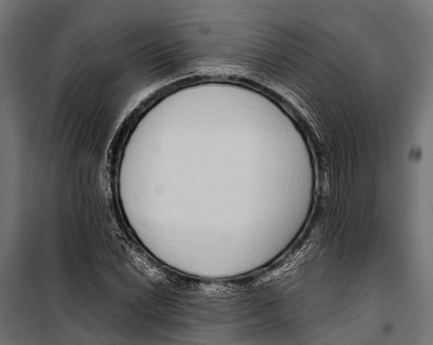 X0000099931022200806201052