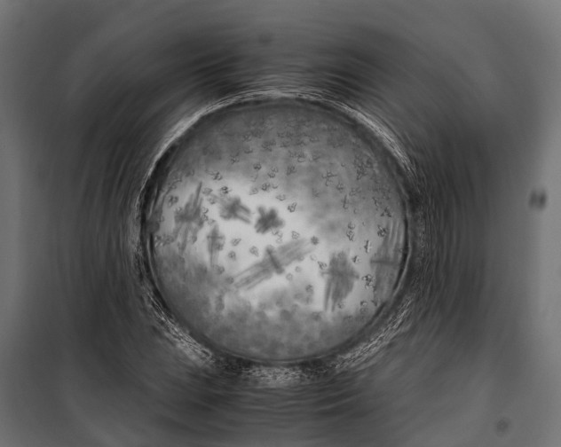 X0000099931023200806201052