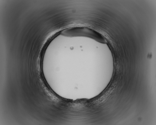 X0000099931030200806201052