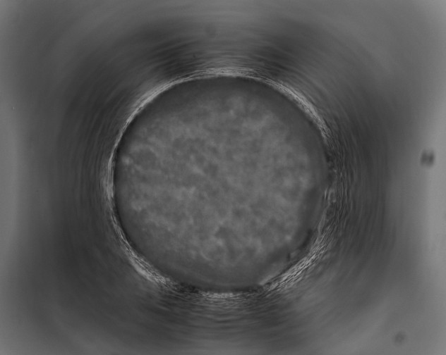 X0000099931031200806201052