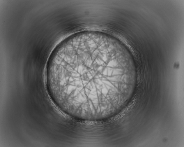 X0000099931032200806201052