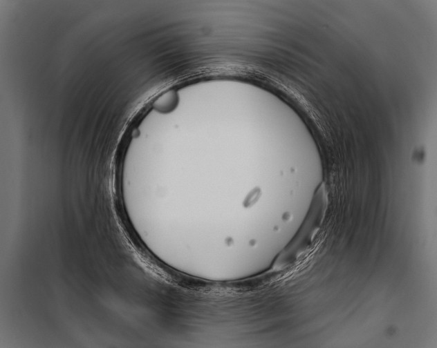 X0000099931034200806201052