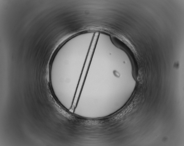 X0000099931036200806201052