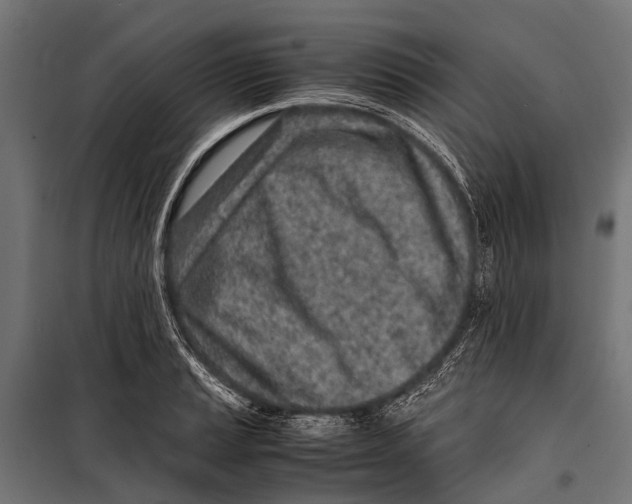 X0000099931037200806201052