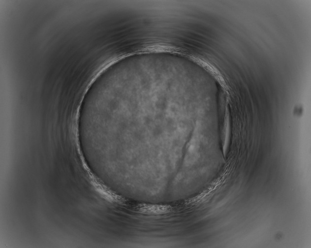 X0000099931039200806201052