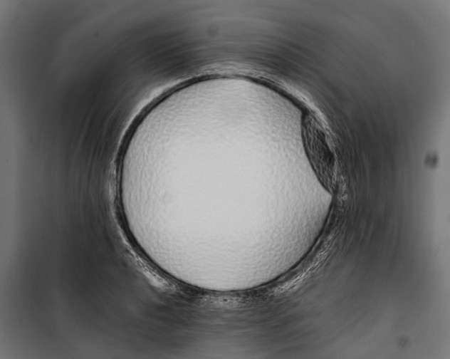 X0000099931040200806201052