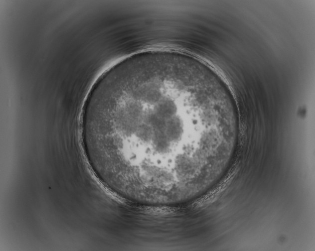 X0000099931045200806201052