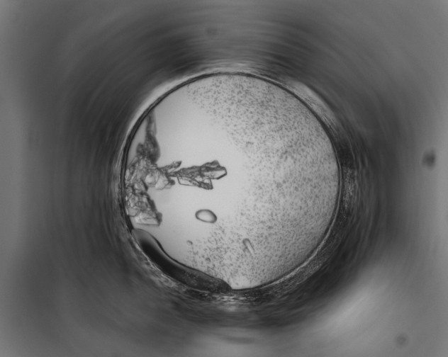 X0000099931052200806201052