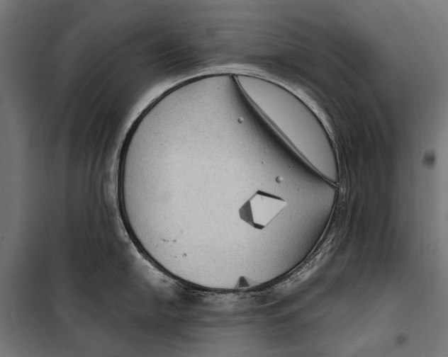 X0000099931054200806201052