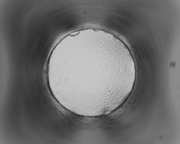 X0000099931056200806201052